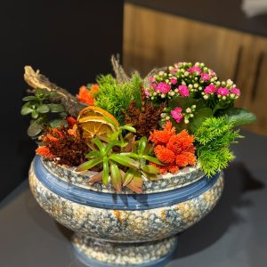 Doğa Esintisi Premium Teraryum